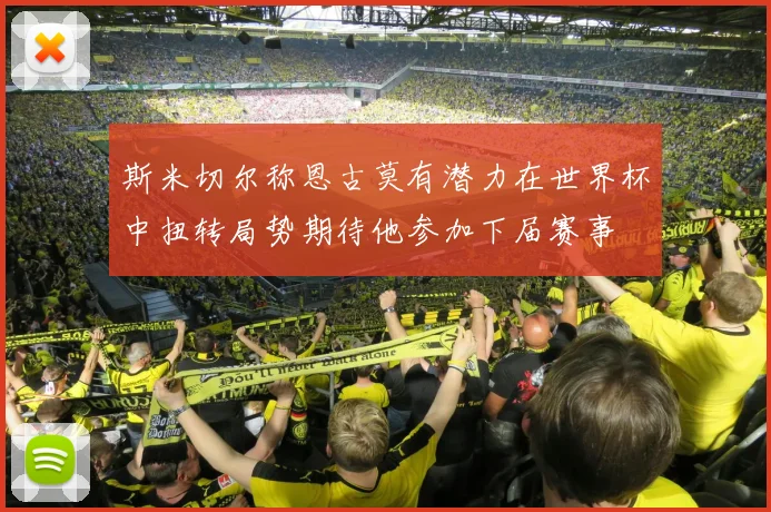 斯米切尔称恩古莫有潜力在世界杯中扭转局势期待他参加下届赛事